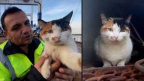 Ship’s Crew Adopts Cat Named Lollipop