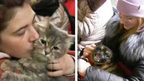 Some Refugees Fleeing Ukraine Are Taking Their Pets With Them