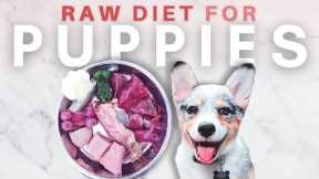 How To Start Your Puppy On A Raw Diet - The Ultimate Guide