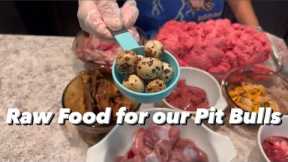 Raw Food Diet for our Pit Bulls