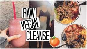 How to Cleanse & Detox your Body with a RAW VEGAN Diet | What I Eat in a Day #3