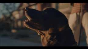 Farmer's Dog Ad Earns Top Super Bowl Commercial