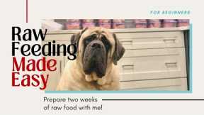 How to Meal Prep 2 Weeks of Raw Dog Food | Raw Feeding Large Dogs For Beginners | RAW DIET MADE EASY