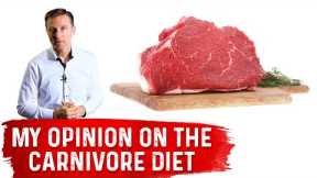 Dr. Berg's Opinion on Carnivore Diet