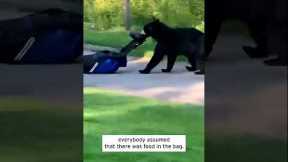 Naughty Bear Steals Brand New Golf Bag #shots