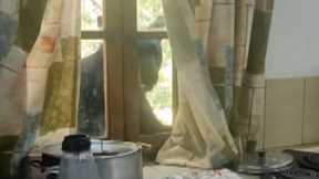 Massive Bear Shatters Homeowner’s Kitchen Window