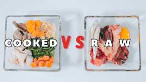 Raw Vs. Cooked Pet Food - Which Is Better?