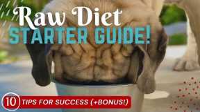 Raw Diet for Large Breed Dogs Starter Guide - Top 10 Tips + BONUS [Raw Dog Food PREP & FEED With Me]