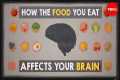 How the food you eat affects your