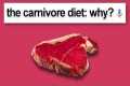 Carnivore Diet: Why would it work?