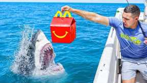FISHING WITH FAST FOOD
