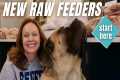 Raw Food Diet for Dogs | Starter