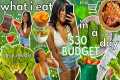 RAW VEGAN ON A $30 BUDGET | What I