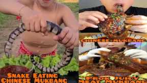 Asmr Chinese Fast Food Mukbang Today Eating Snake Tortoise Etc #ep1