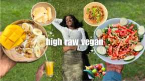 🌱HIGH RAW🍓what i eat in a day vegan | new cookbook??? creamy chia pudding, quinoa kale salad,