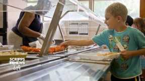 Helping your child navigate school lunch options