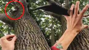 Animal Rescuer Catches Kitten Falling Out of a Tree